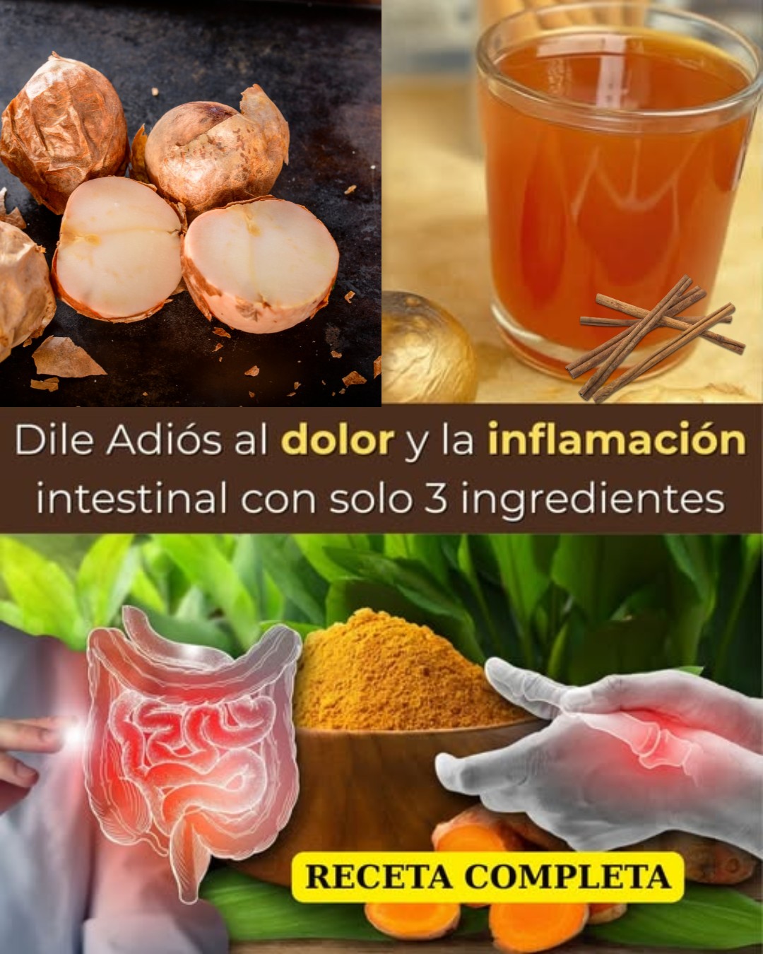 544806297 122130429860924909 8569395421724630390 N