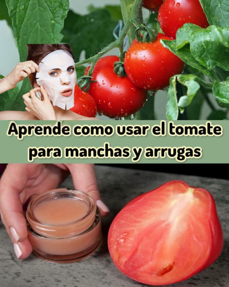 549768642 122133852086924909 3831687984794562231 N