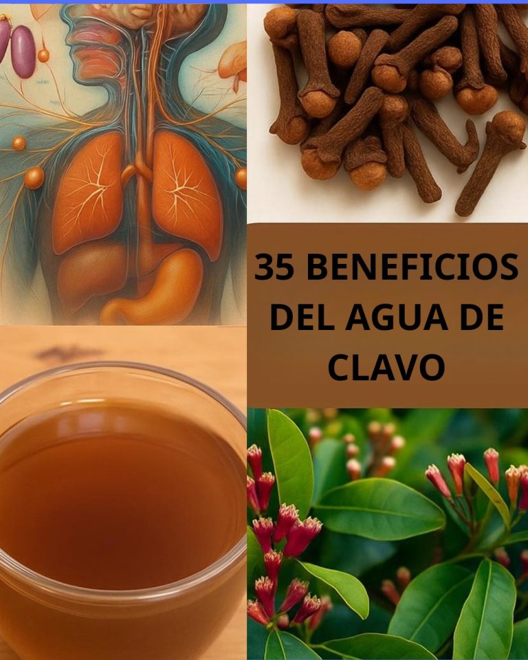 557067248 122137255088924909 3894437108455567097 N