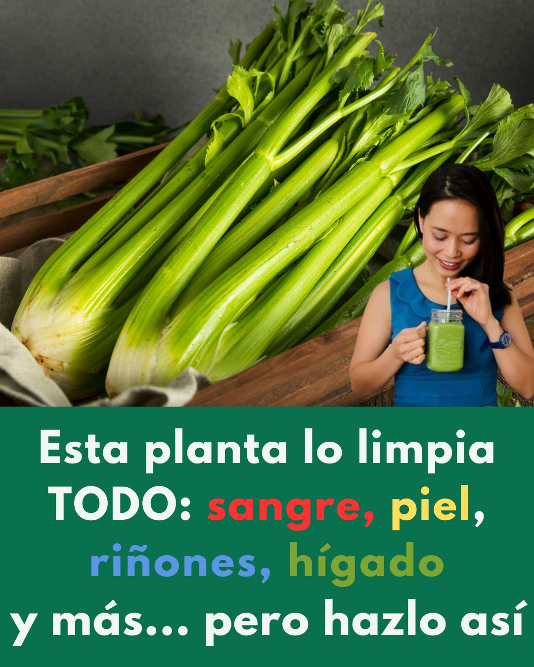 557600489 122137846166924909 7151921994809429751 N