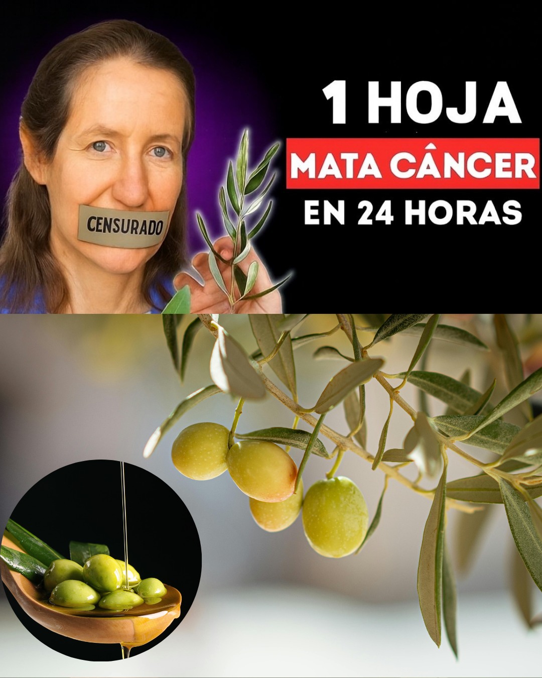 558140238 122135900378924909 8824955671396900472 N