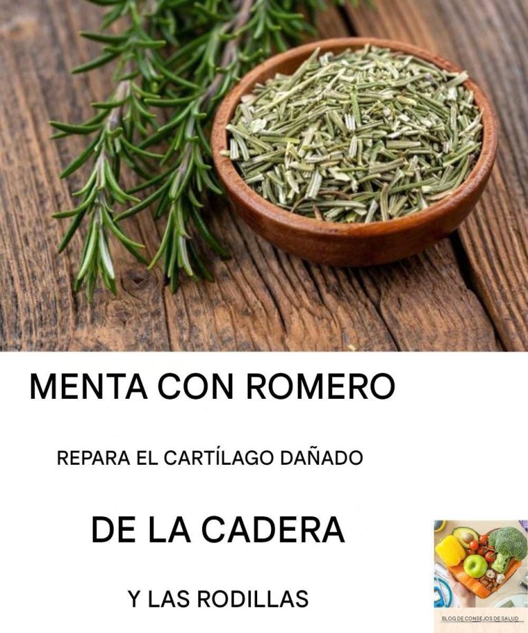 558197322 1323025692701972 7602243970839657537 N 768x922