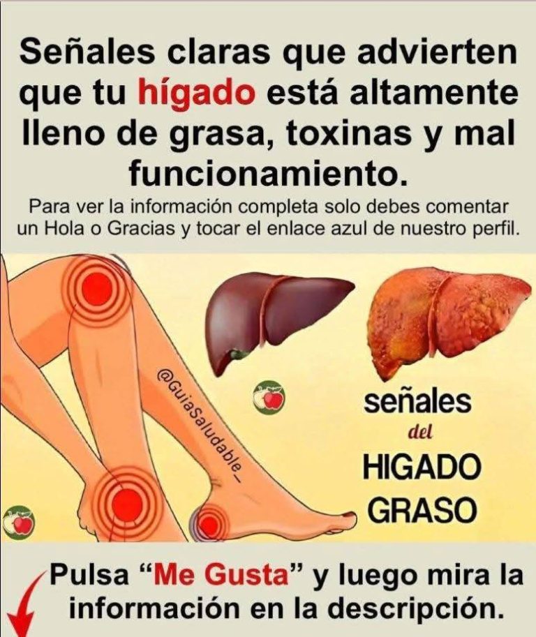 559131045 1323019996035875 8729968609893111550 N 768x913