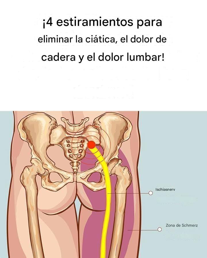 559525411 1324980149173193 7733436664149757433 N