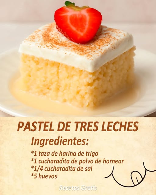 559569972 122179870436512097 641833415675291665 N