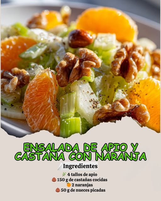 559572672 122172966506451622 4403081649630301308 N