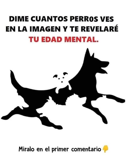 560450235 122180406164570697 1865148611405801989 N