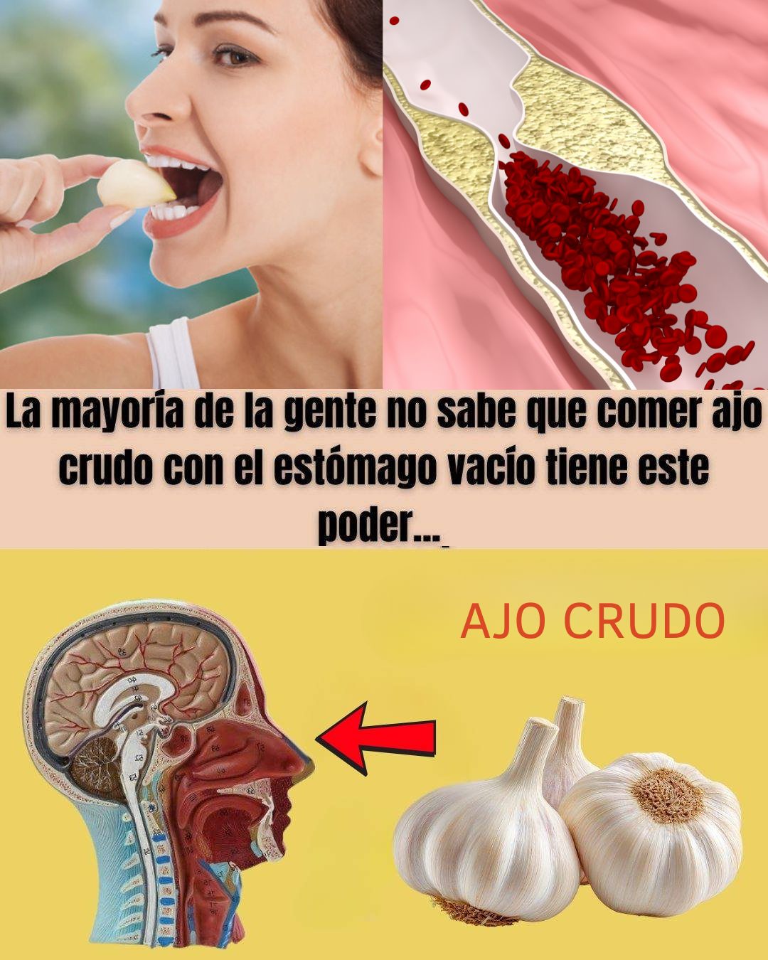 561045941 122139310454924909 6579945788033962124 N