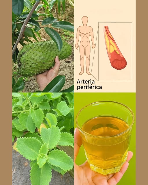 561431017 122139782840924909 7166530813004076426 N (1)