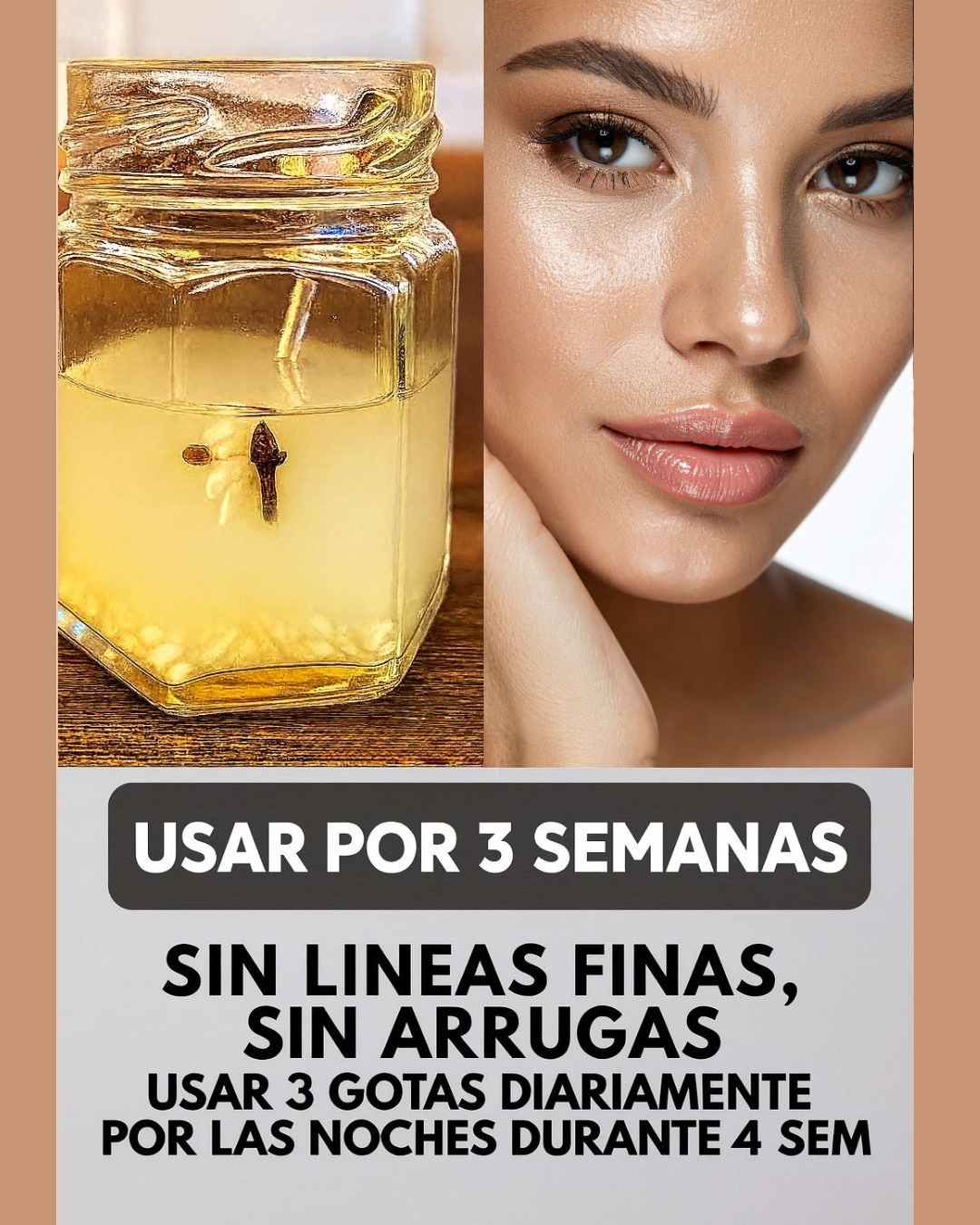 561657295 122139573722924909 1757348919690227125 N