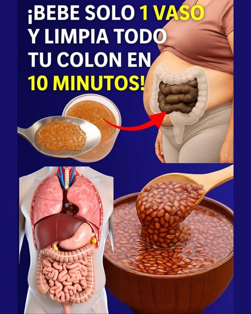 567891610 122140111736924909 6046514617120419668 N (1)